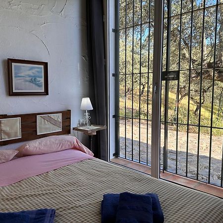 Casa Rural Navalonguilla Con Piscina 圣奥拉利亚德尔卡拉 外观 照片