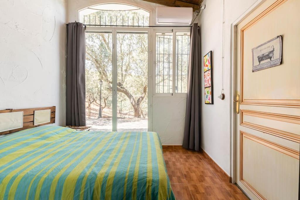 Casa Rural Navalonguilla Con Piscina 圣奥拉利亚德尔卡拉 外观 照片