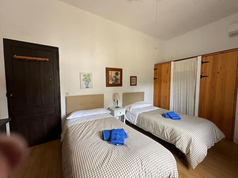 Casa Rural Navalonguilla Con Piscina 圣奥拉利亚德尔卡拉 外观 照片